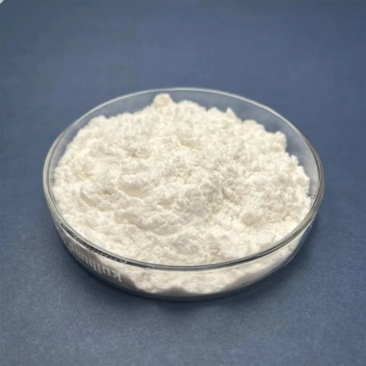 sodium bicarbonate in body